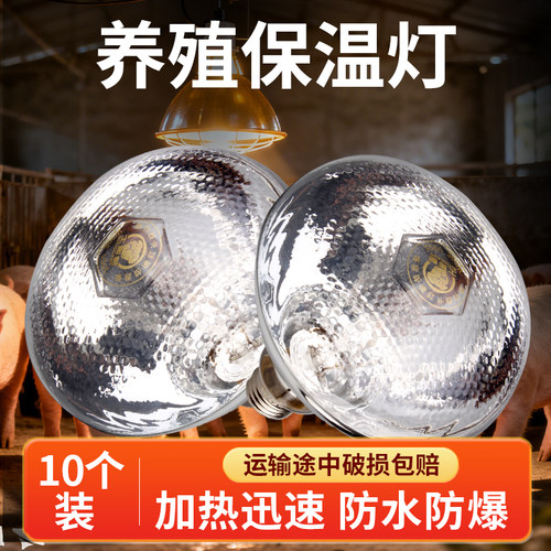 猪用保温灯养殖场专用