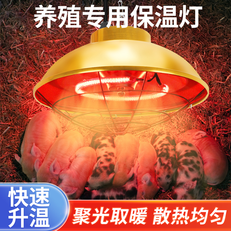 温度可调仔猪保温灯罩