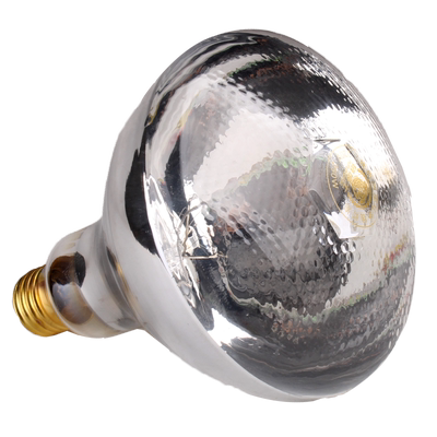 仔猪保温灯防爆红外线节能灯泡