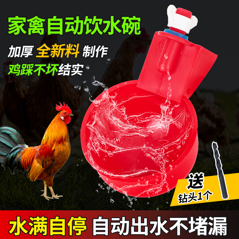 鸡用自动饮水碗鸡鸭鹅用