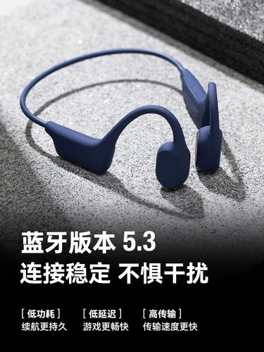 sanag真无线蓝牙5.3耳挂式