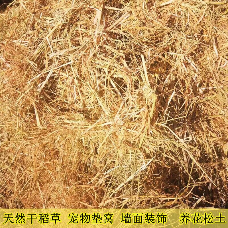 稻草促销散装宠物垫窝