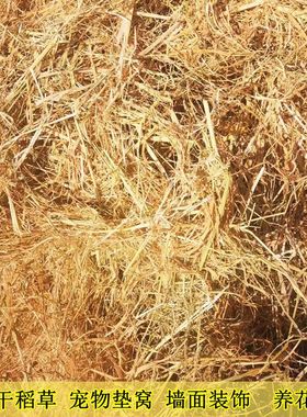 鸡窝稻草漆兔子荷兰猪保暖宠物食用草天然草垛打草绳宠物干草垫窝