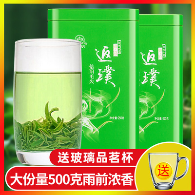 买一送一世明信阳毛尖2025新茶叶雨前浓香型春茶绿茶散装共500g
