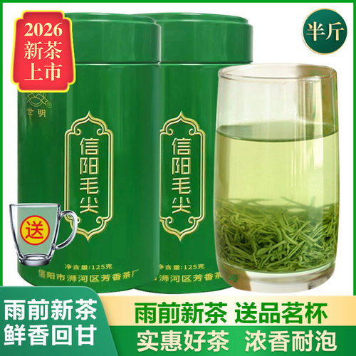 信阳毛尖2026雨前新茶浓香型250g