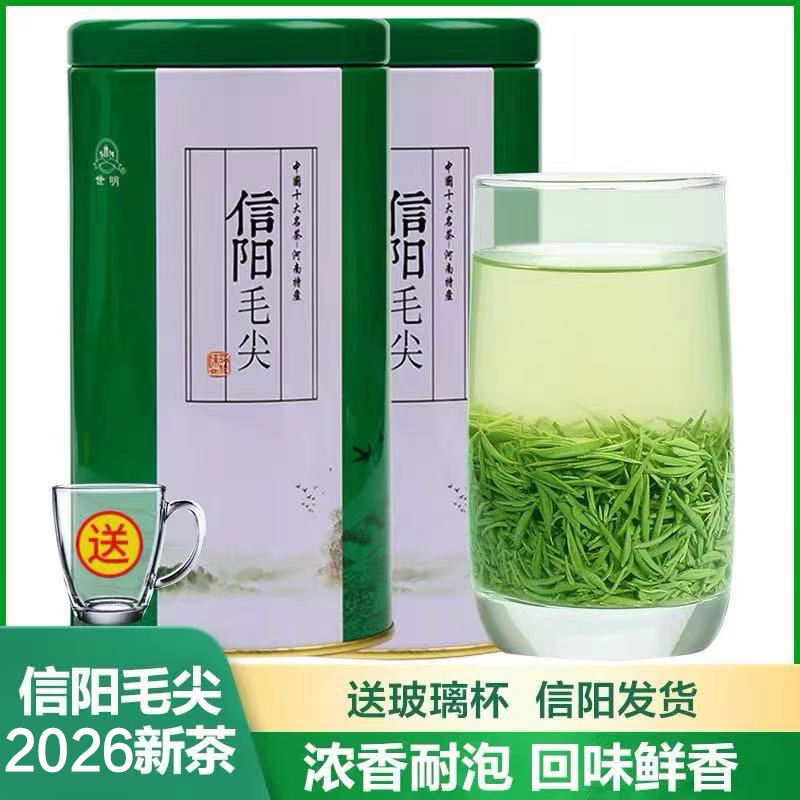 信阳毛尖2026新茶叶浓香耐泡250g