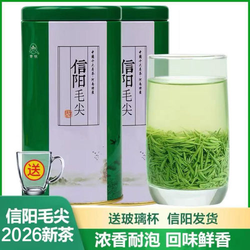 信阳毛尖2026新茶叶浓香耐泡250g