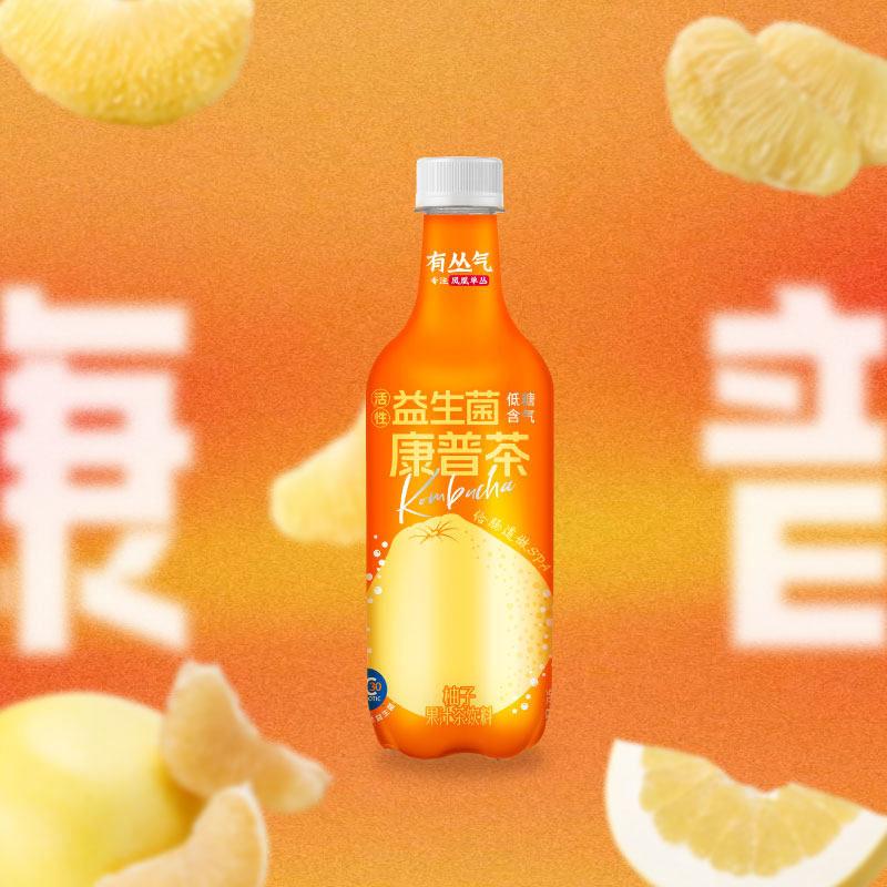 【新品】有丛气清爽解腻0脂柚子单丛康普茶饮料500ml果汁汽泡茶