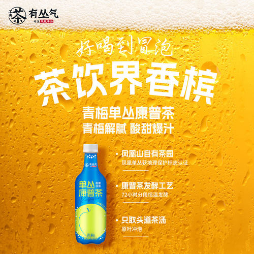 有丛气单丛康普茶青梅果汁茶饮料