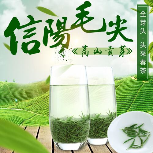 信阳毛尖2026新茶明前特级全芽头