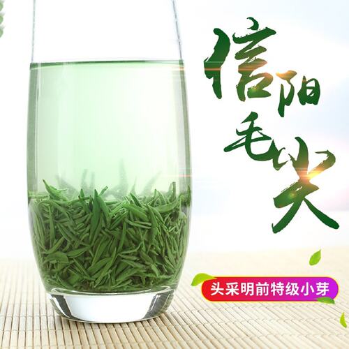 信阳毛尖2026新茶明前特级全芽头