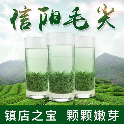 信阳毛尖新茶明前特级头采小芽头