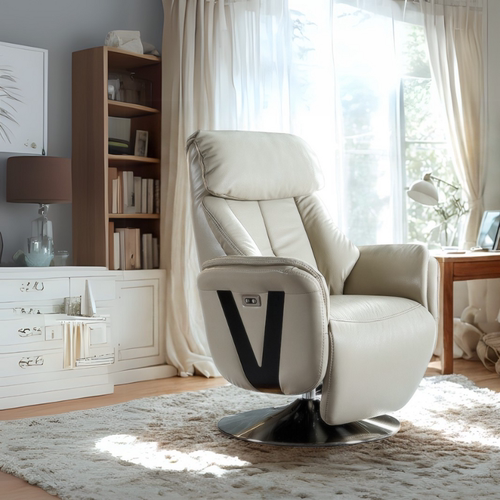 德国进口羽绒单人沙发椅