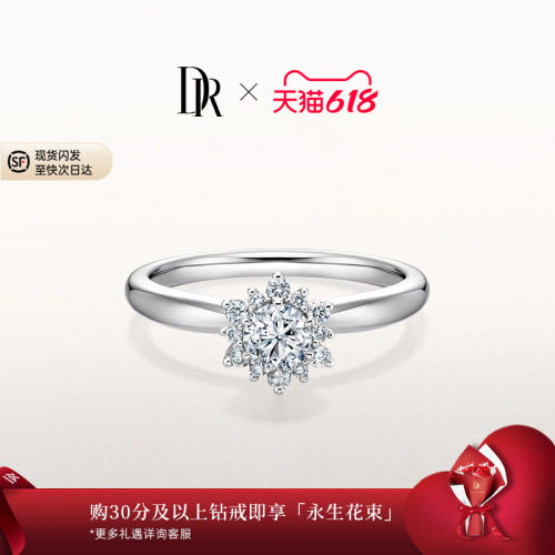 DRBELIEVE简奢款求婚钻戒