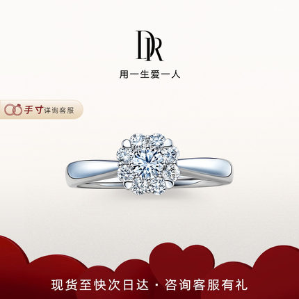DRBELIEVE爱的捧花求婚钻戒钻石铂金戒指群镶天然钻石A16023