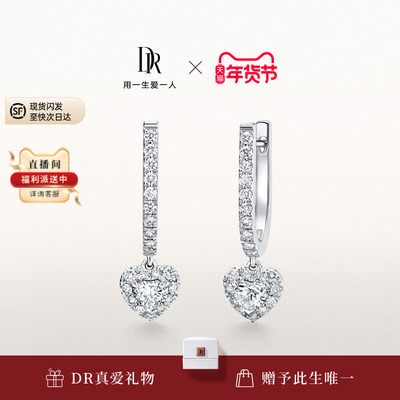 DRHEART系列真心誓约耳饰