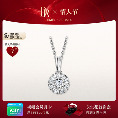 DR BELIEVE系列幸福捧花项链钻石项链送女友礼物J20027