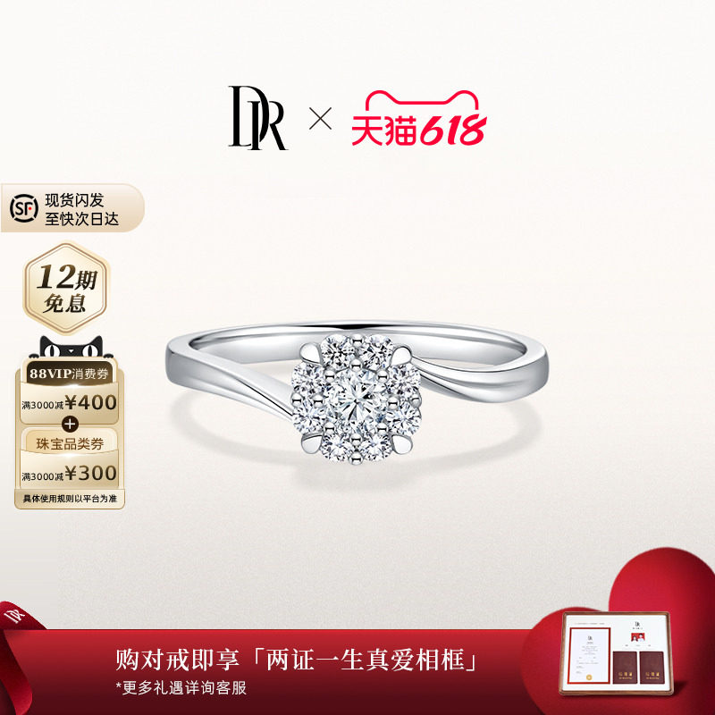 DRBELIEVE浪漫捧花求婚钻戒结婚群镶钻石戒指碎钻J10206
