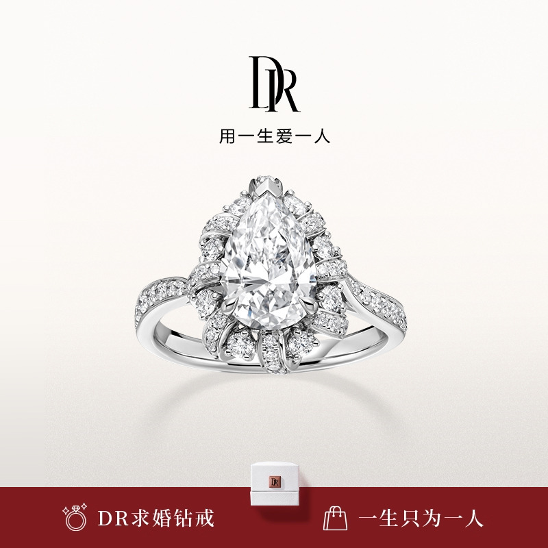 DR爱之共鸣重奏求婚钻戒