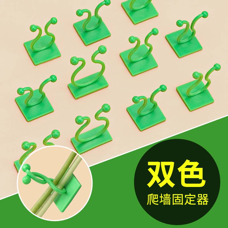绿萝爬上神器爬墙上绿箩固定器