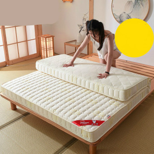 寝室秋冬季家用家纺出租屋床垫软垫20厘米厚垫背儿童床垫子午休