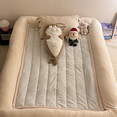 博主风人类狗窝牛奶绒全包围床单