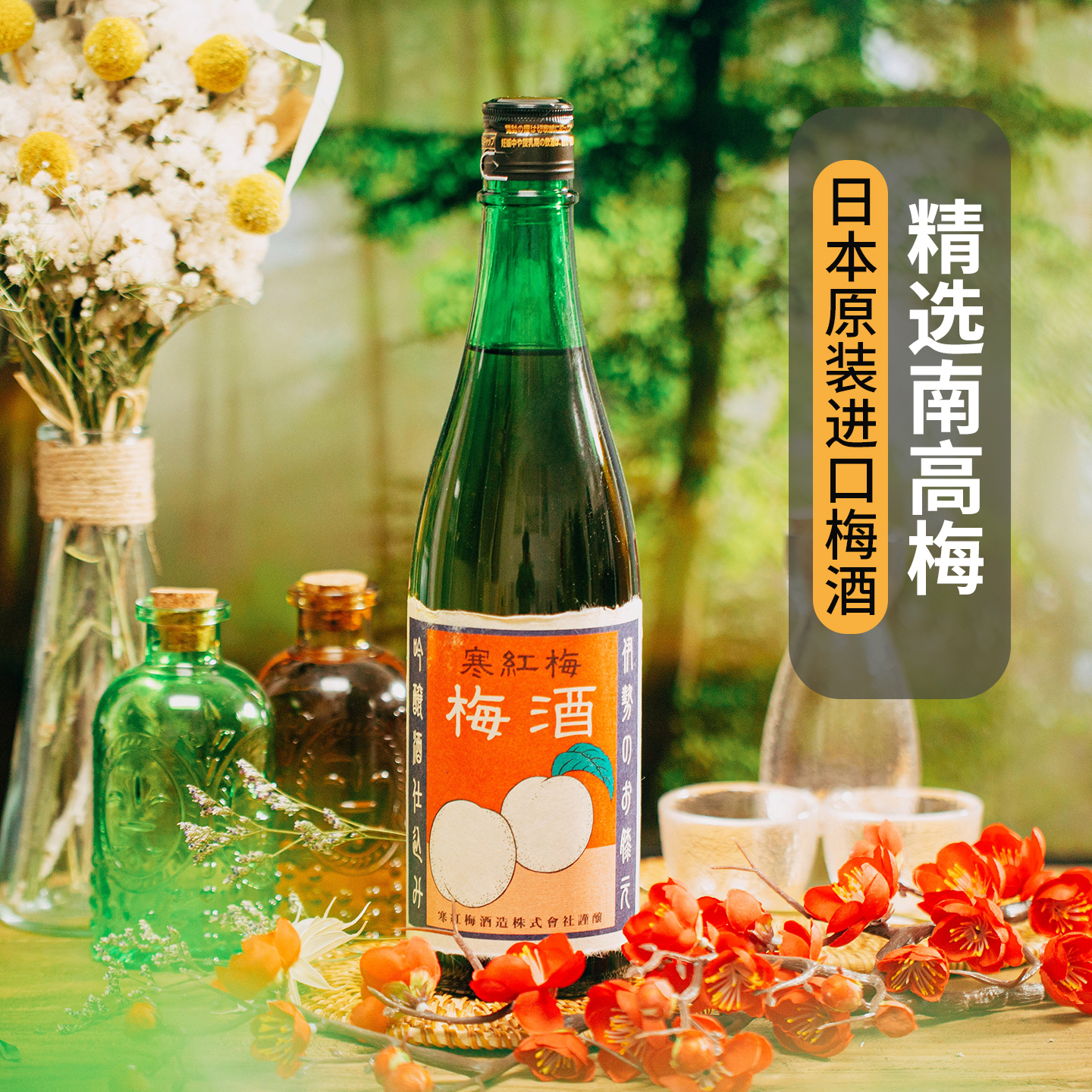 日本原装进口寒红梅梅子酒720ml 女士果酒青梅酒低度甜酒本格梅酒