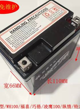 摩托车电瓶12v5a雅马哈公主100