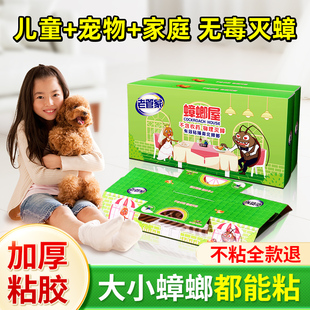 老管家蟑螂屋家用非无毒粘板厨房小强全窝捕捉贴端神器小屋强力粘