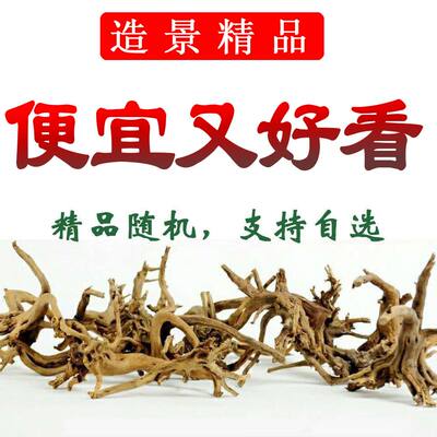 鱼缸水草缸造景妖精森林景观素材莫斯树形纯天然沉木杜鹃根树枝