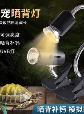 乌龟晒背灯爬宠太阳灯蜥蜴uva补钙保温加热uvb灯泡照明全光谱