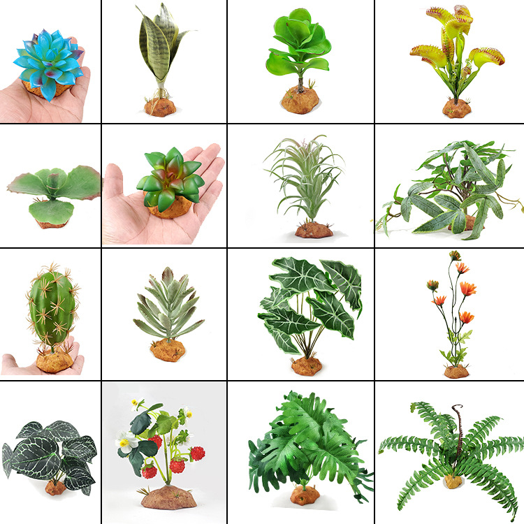 爬宠饲养箱造景仿真植物