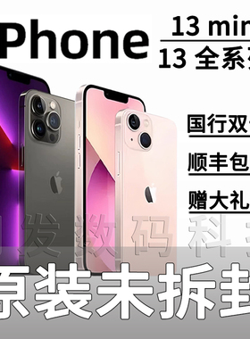 Apple/苹果iPhone13mini 国行正品苹果13双卡原装13pro
