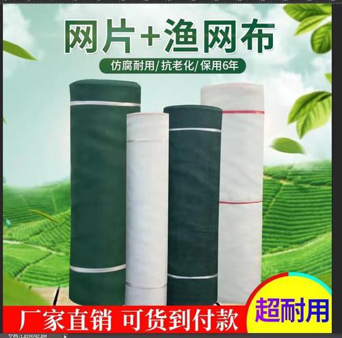 渔网布网片鱼网布料养殖防逃网鱼塘护坡网10目40渔网片尼龙网围网