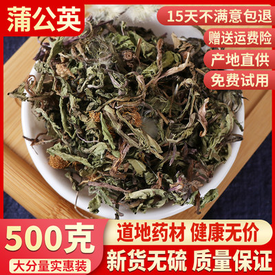 蒲公英特级新鲜中药材500g包邮