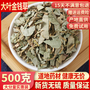 金钱草茶 广金钱草干 500克 可打粉 包邮 大叶 野生中药材 金钱草