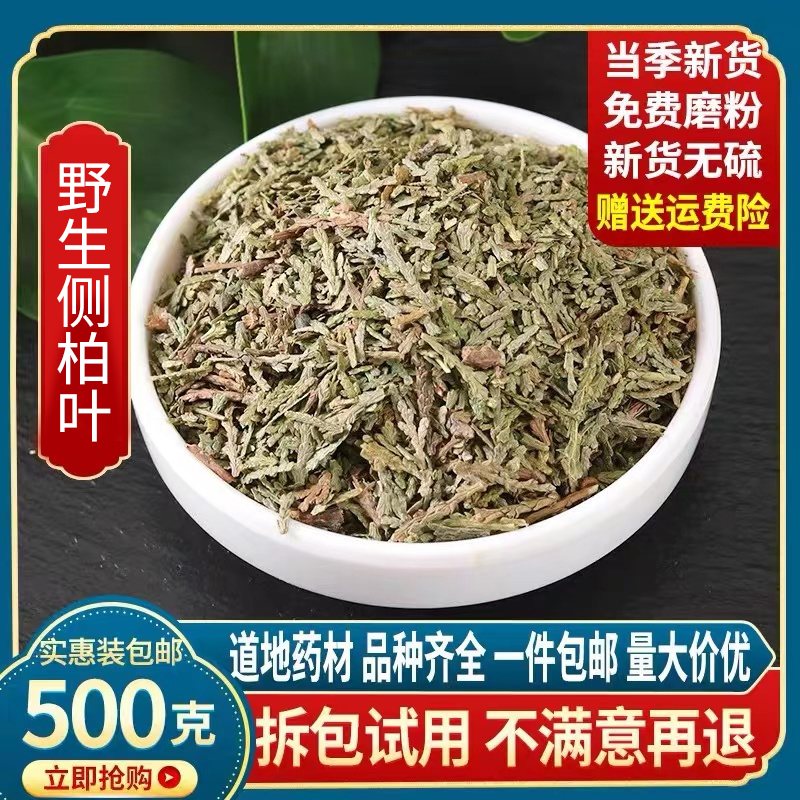 侧柏叶中药材洗发水中草药