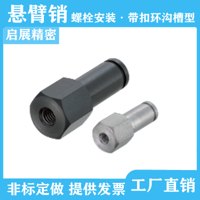 悬臂销LXHA PLXHA SLXHA6 8 10 12 15 20六角型 带扣环沟槽型