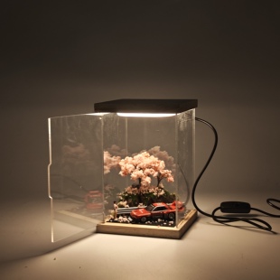 1/64樱花灯景适配多美卡TLV黑盒Minigt和服樱花妹车模展示盒剪影