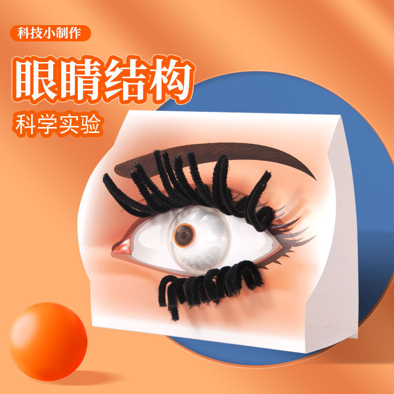 DIY手工眼睛结构中小学生DIY科技小制作STEM教育教具科学实验