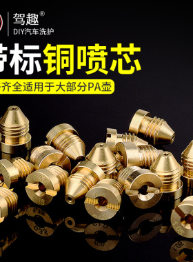 泡沫喷壶pa壶喷芯绿田威克士亿力高压洗车机发泡网喷心改装零配件