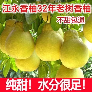 新货湖南永州特产地标产品江永香柚正宗原产地直发纯甜老树香柚
