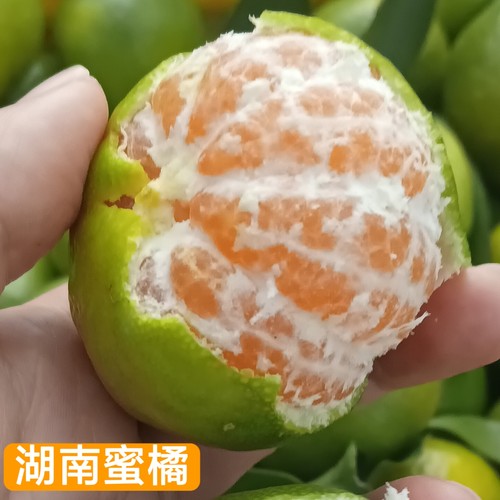 湖南永州特产新鲜青皮无籽桔子回峰蜜橘农产品地理标志产品原产地