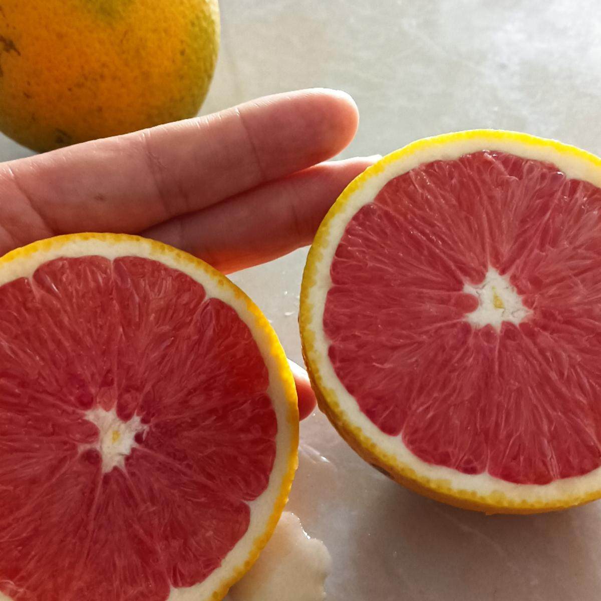 湖南永州本地红肉橙新鲜当季血橙保证不泡药水不打腊不打甜蜜素