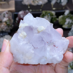 直播专用链接 不含偏远 满100 包邮
