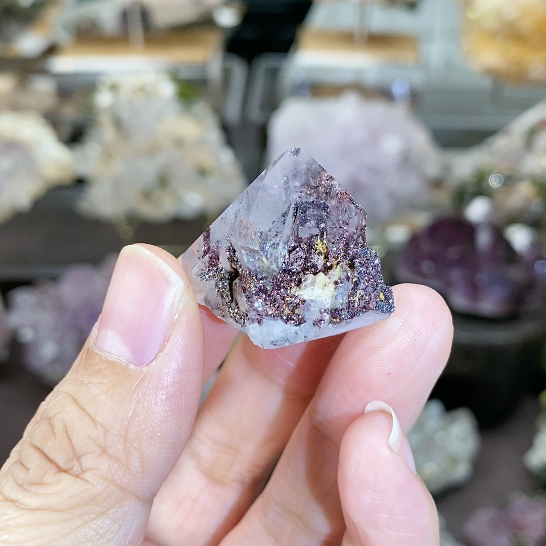 直播专用链接满100包邮不含偏远