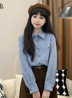 慕兔别致设计感小众蓝色上衣女2025冬季新款法式气质加绒长袖衬衫