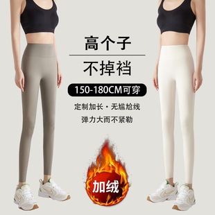 高腰收腹加长款 180加绒鲨鱼裤 大码 可外穿瑜伽裤 紧身打底 女秋冬款