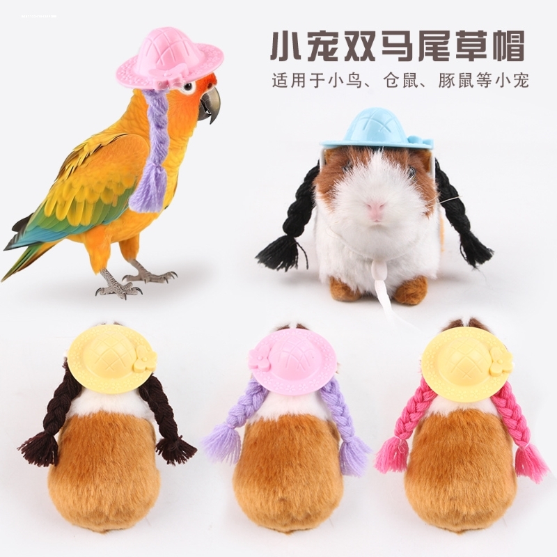 仓鼠专用小帽子金丝熊衣服鹦鹉头饰玄凤鹦鹉龙猫守宫头套豚鼠佩饰