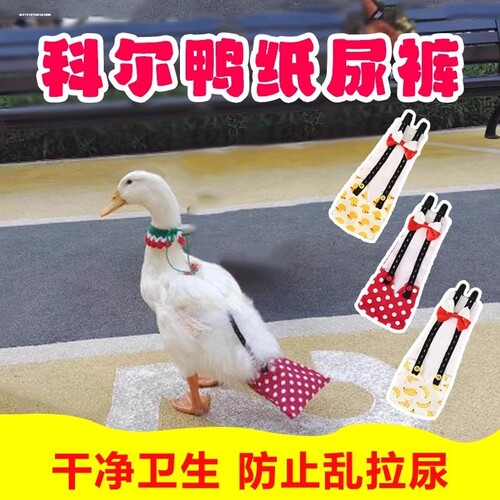 柯尔鸭屎兜网红小黄鸭衣服尿不湿文明裤丫粪兜鹅防水尿布鸡鸭尿片
